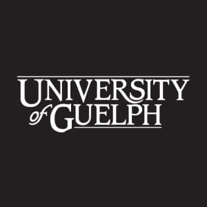 This is the standard university of guelph cornerstone logo. A black square with the words university of guelph in a fancy font.